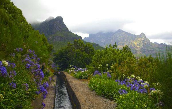 Machico Nature المظهر الخارجي الصورة